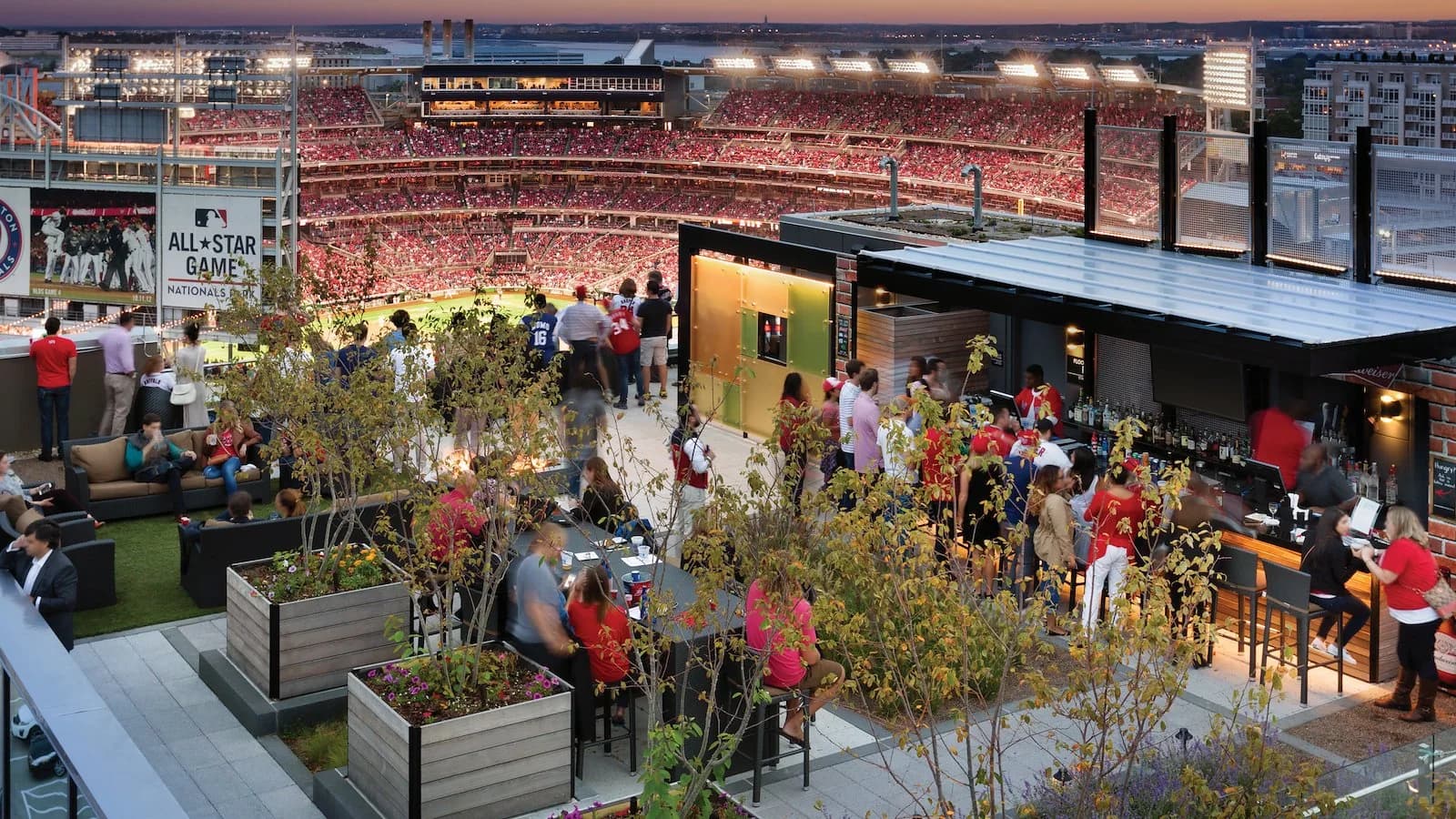 Top of the Yard Rooftop Bar & Bites cover
